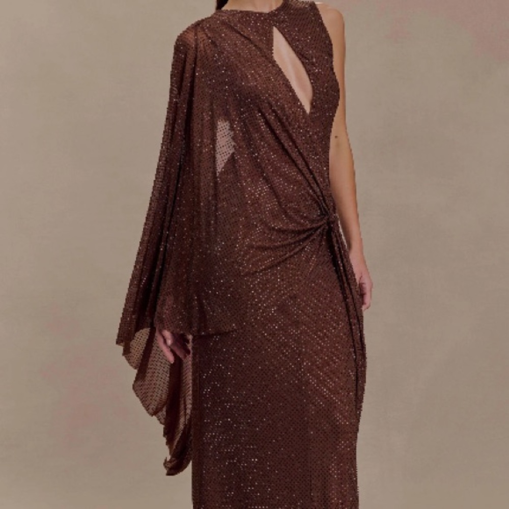 Elegant Brown Evening Gown (Meshki)